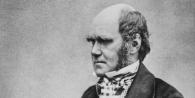 Чарльз Дарвин – краткая биография для детей, открытия и достижения